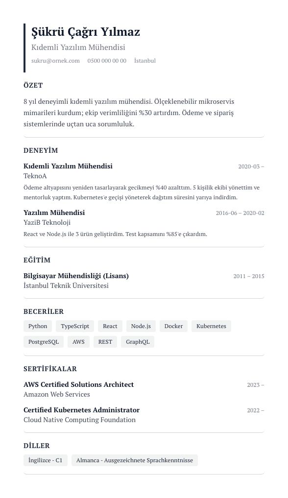 Executive CV şablonu önizlemesi - Detaylı, 2 sayfa, kıdemli yöneticiler için