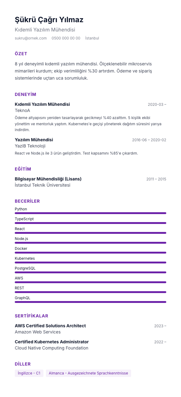 İnfografik Hafif CV şablonu önizlemesi - Beceri çubukları + sade tipografi - yaratıcı roller için