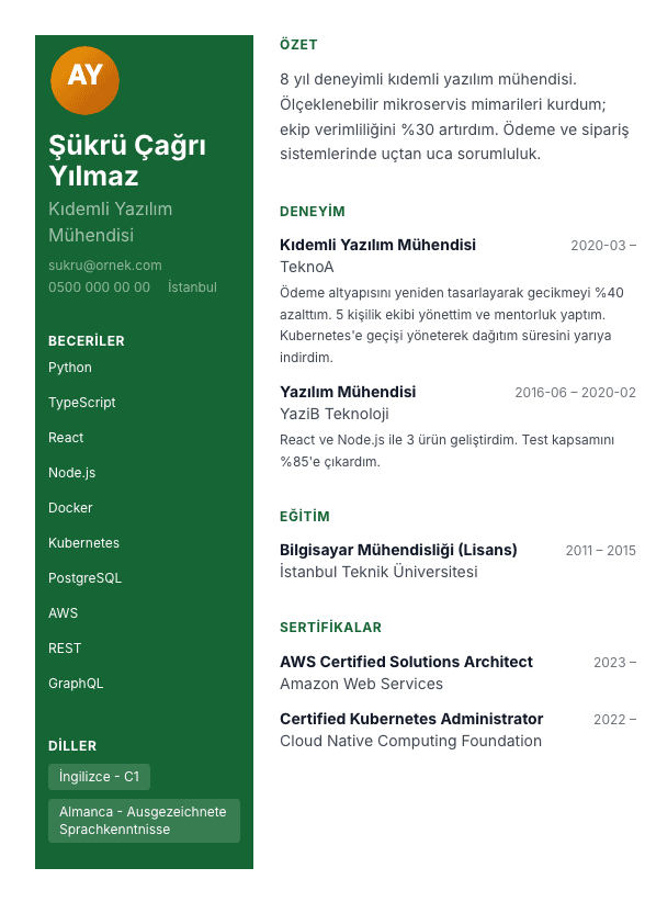 Portfolyo Panel CV şablonu önizlemesi - Geniş renkli sol panel, dairesel foto ve seviye çubuklarıyla portfolyo hissi veren tasarım