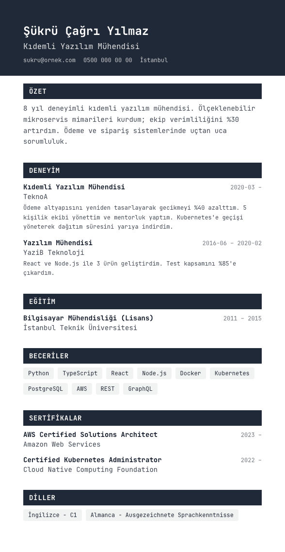 Terminal CV şablonu önizlemesi - Developer kimliği: JetBrains Mono + grafit banner - kod editörü estetiğinde, ATS-güvenli