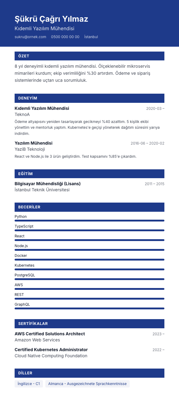 Yetkinlik Panosu CV şablonu önizlemesi - Dolgu bant başlıklar ve seviye çubuklarıyla becerileri ölçülebilir gösteren düzen
