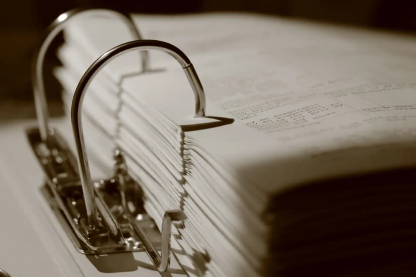 İş yönetiminde başarı gösteren birinin CV detayları