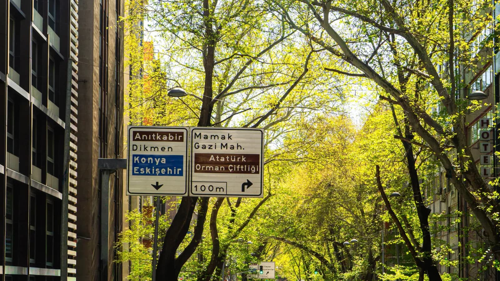 Lively street scene in Ankara with road signs and spring foliage.