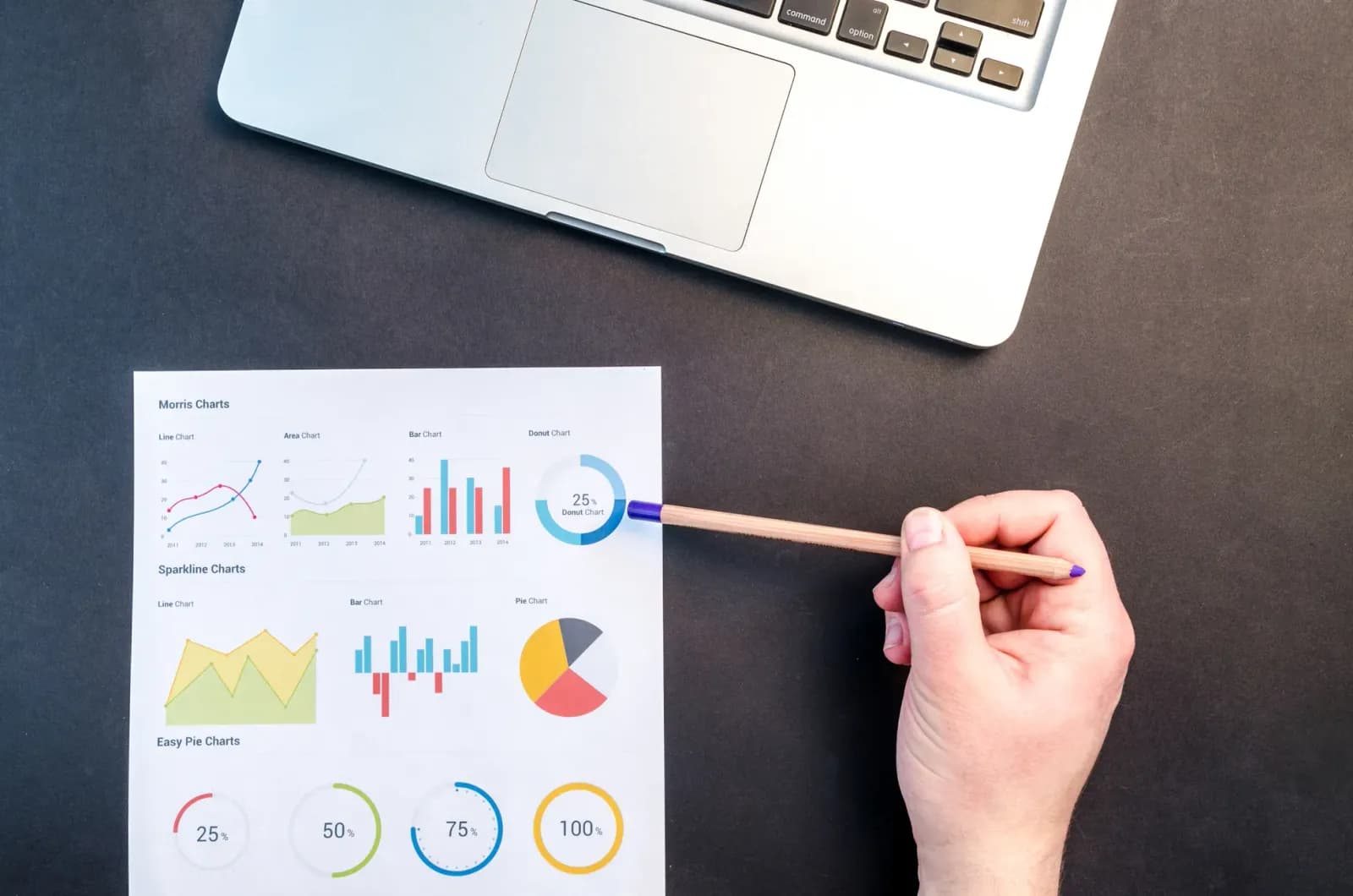 Dizüstü bilgisayarında finansal veri grafikleri inceleyen analist