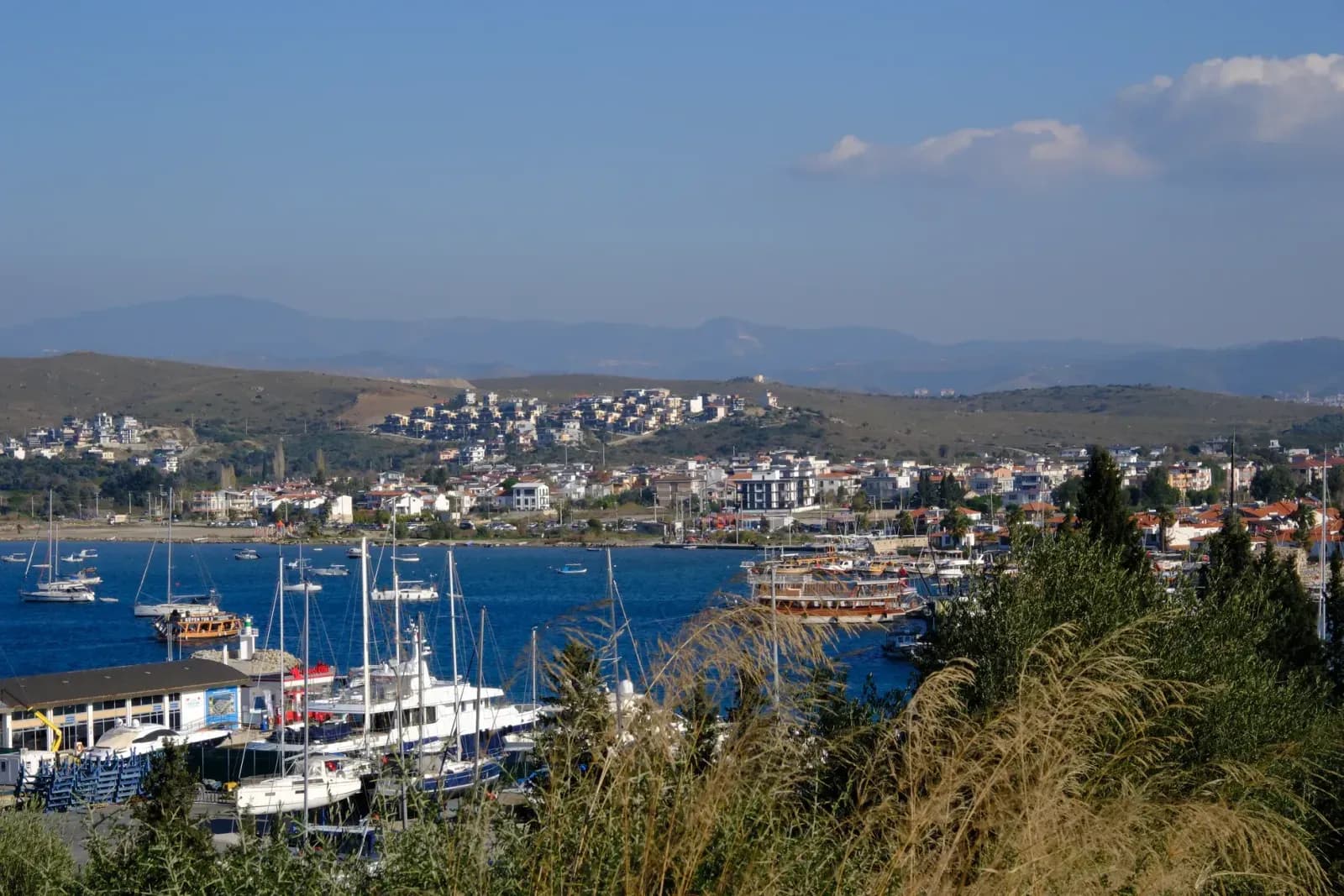 Seferihisar'ın sakin mandalina bahçelerinden bir kare
