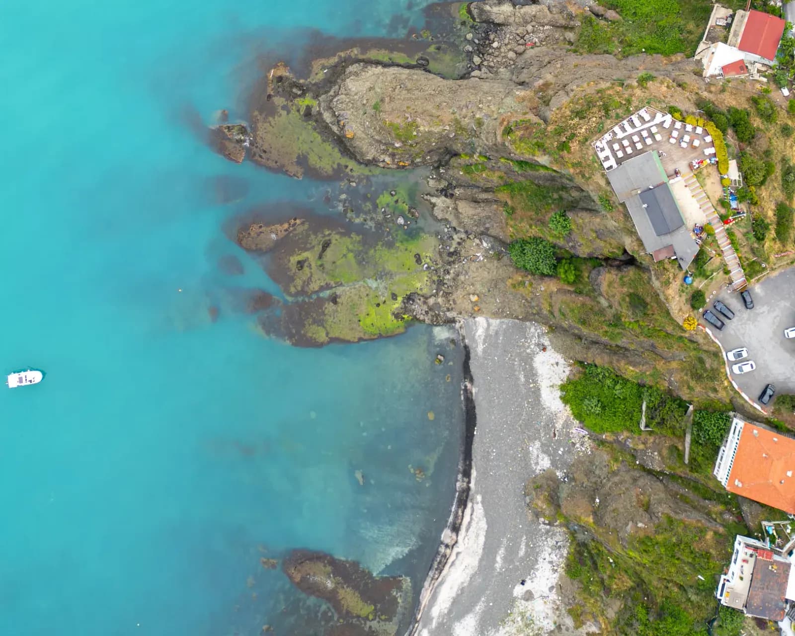 Zeytin ağaçlarıyla çevrili el değmemiş bir koy manzarası, Karaburun