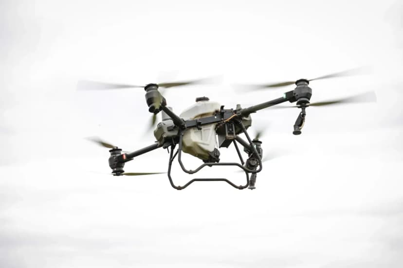 Gaziantep bölgesinde tarım arazisinde drone uçuran dijital tarım uzmanı