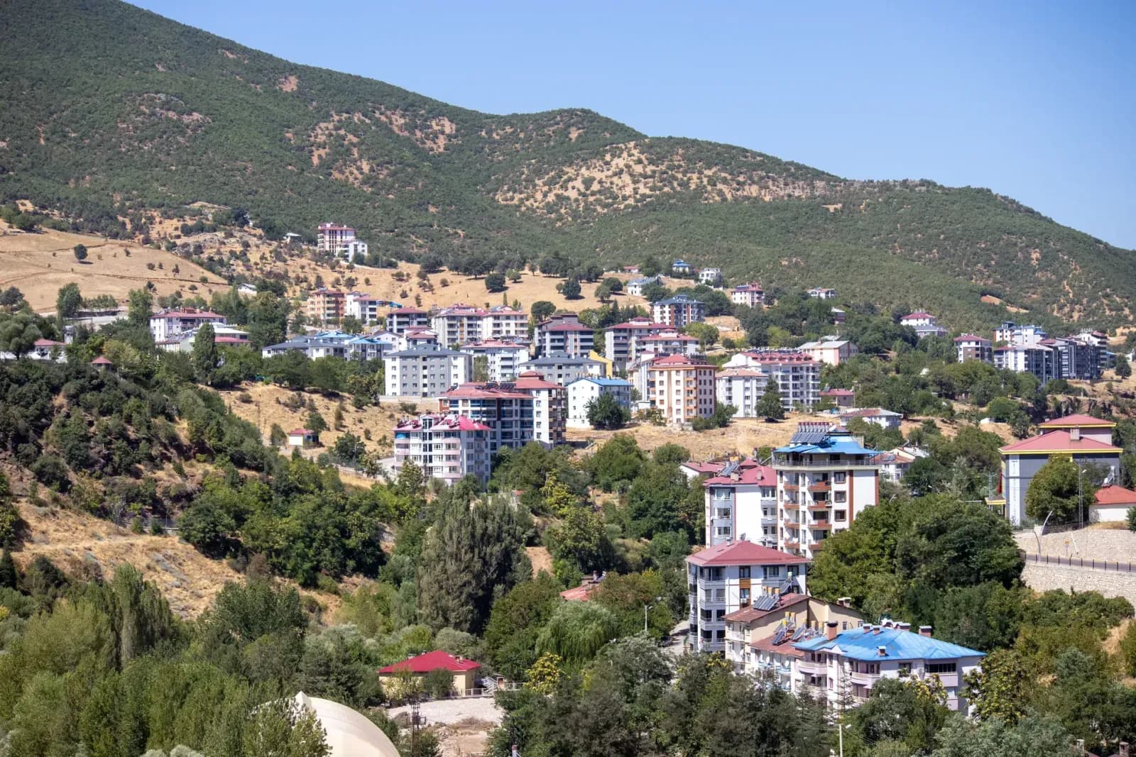 seçim paradoksu konulu blog yazısının kapak görseli