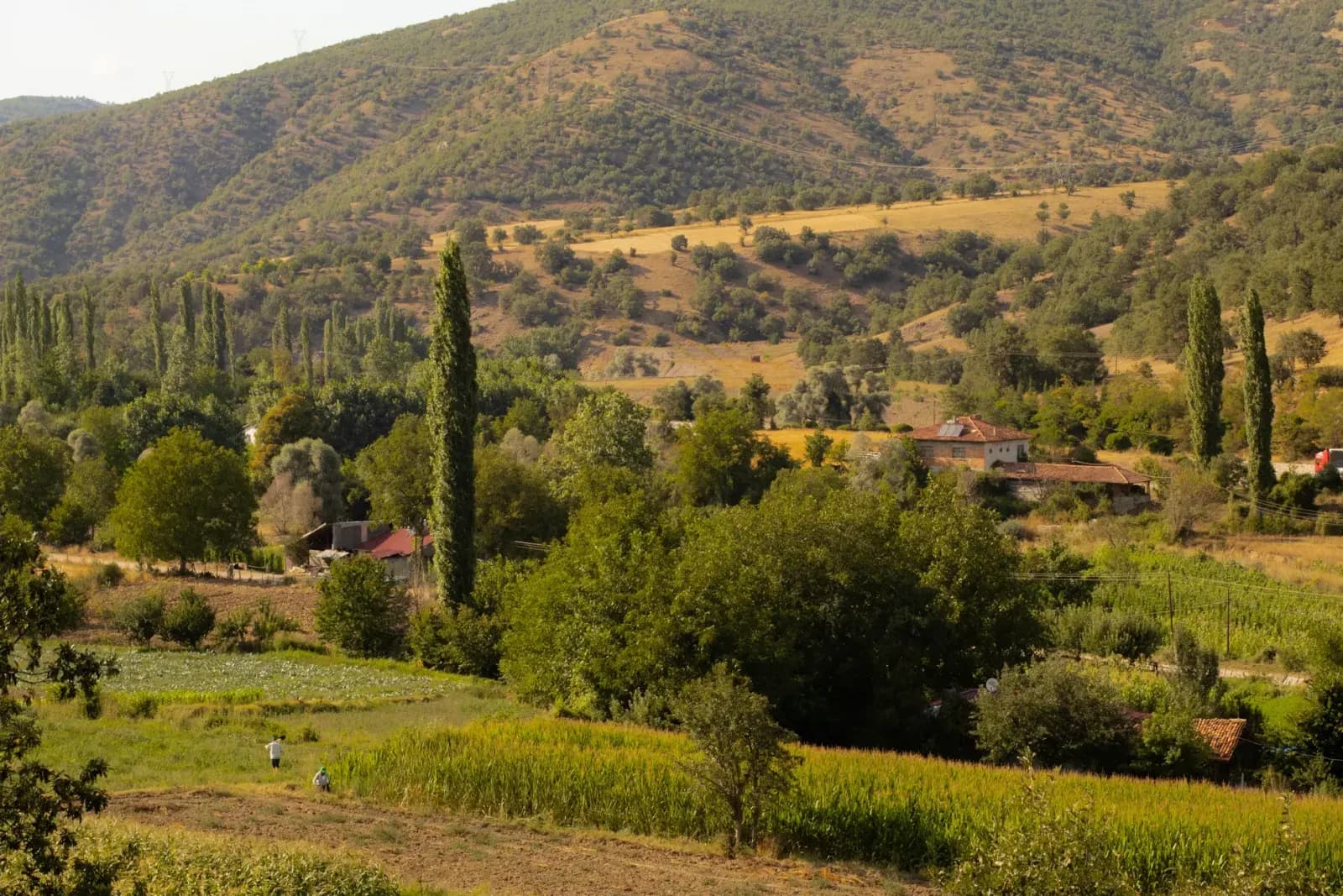 gömülü sistemler konulu blog yazısının kapak görseli