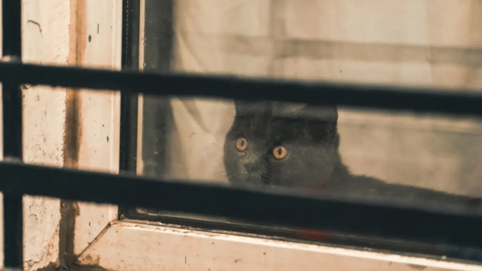 kariyer planlama konulu blog yazısının kapak görseli