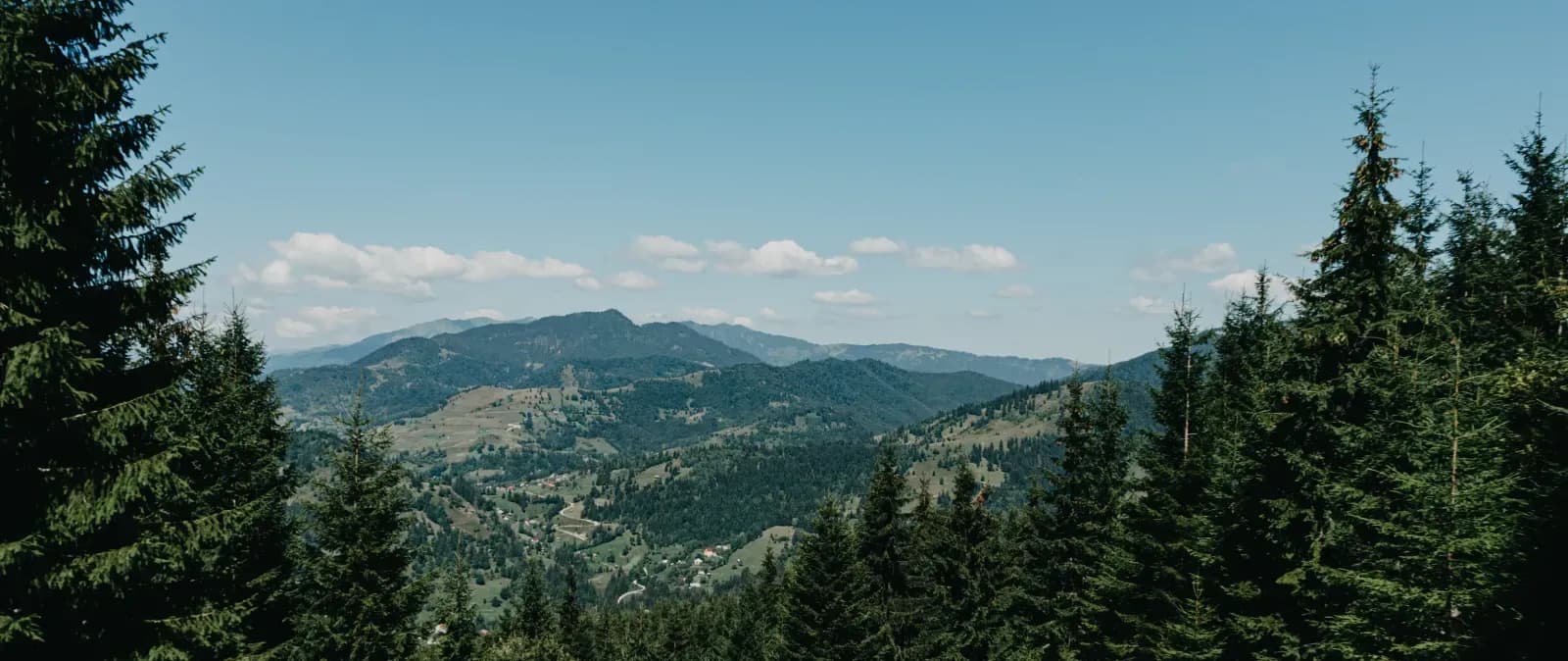 Scenic view of Borșa, Romania's lush forests and mountains beneath a clear blue sky.