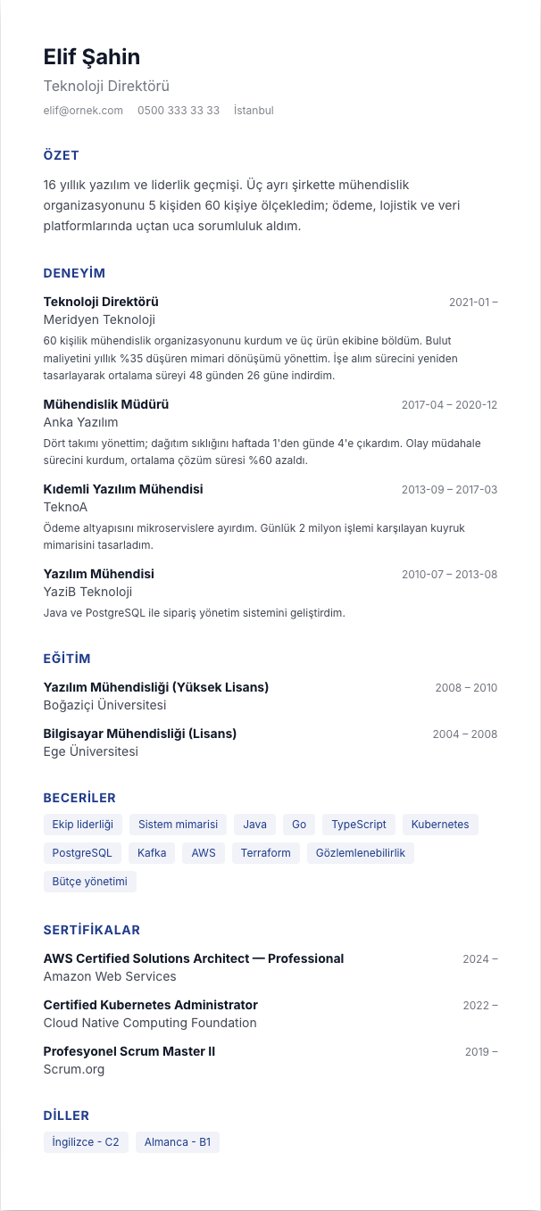 ABD Formatı CV şablonu - uzun kariyer geçmişi örneğiyle