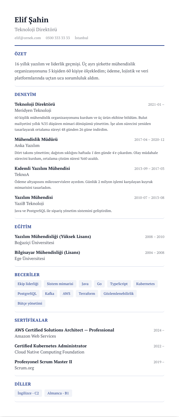 Academic CV şablonu - uzun kariyer geçmişi örneğiyle