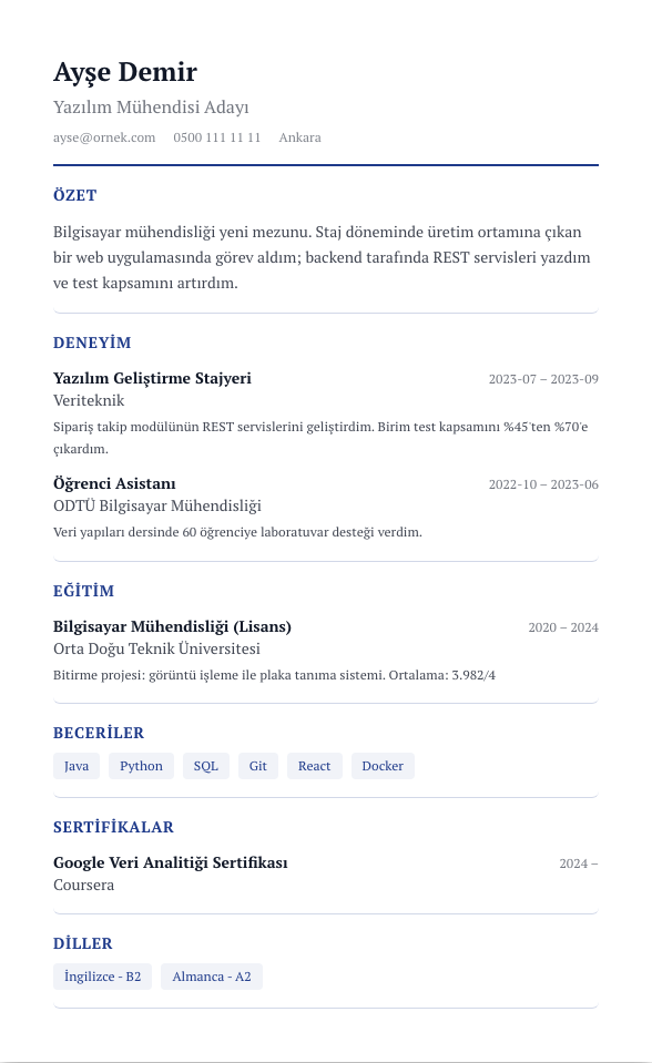 Academic CV şablonu - yeni mezun CV'si örneğiyle
