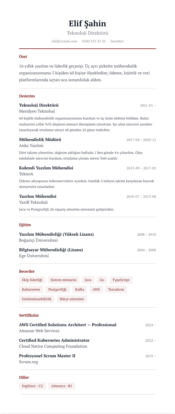 Akademik Künye CV şablonu - uzun kariyer geçmişi örneğiyle
