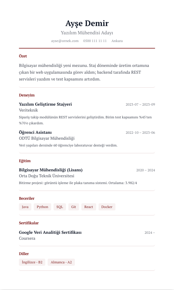 Akademik Künye CV şablonu - yeni mezun CV'si örneğiyle