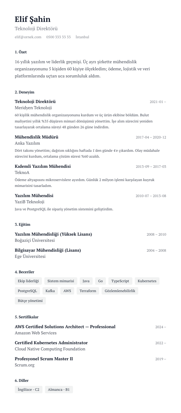 Akademik Numaralı CV şablonu - uzun kariyer geçmişi örneğiyle