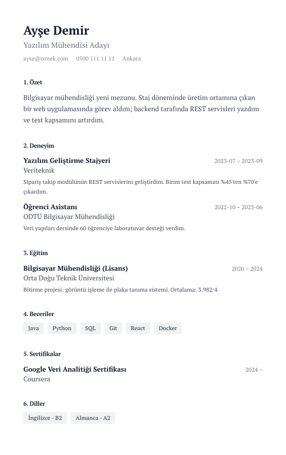 Akademik Numaralı CV şablonu - yeni mezun CV'si örneğiyle
