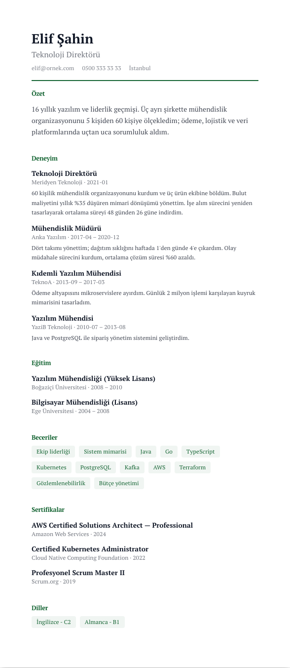 Anlatı CV şablonu - uzun kariyer geçmişi örneğiyle