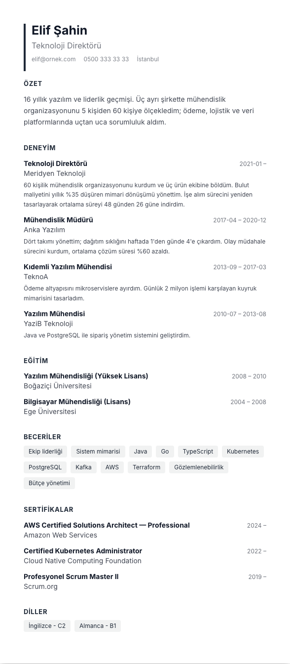 Antrasit Blok CV şablonu - uzun kariyer geçmişi örneğiyle