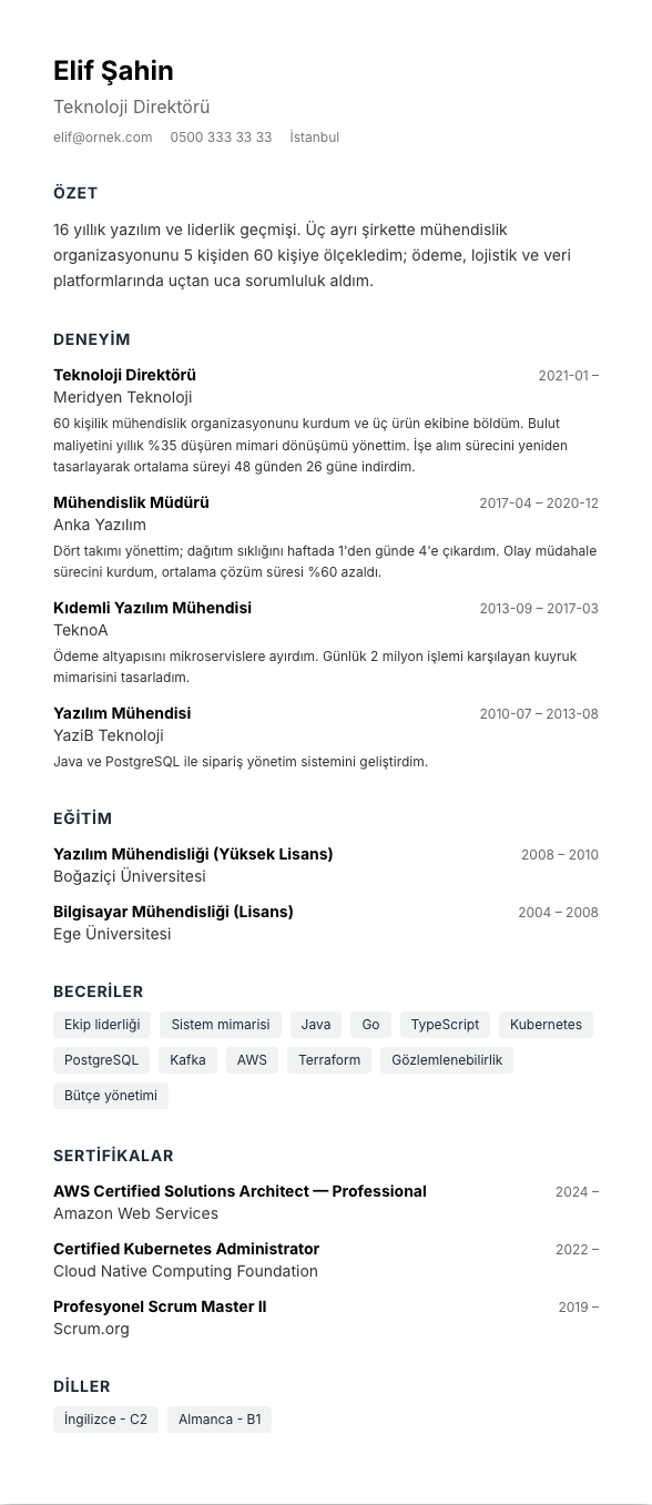 ATS Sade TR CV şablonu - uzun kariyer geçmişi örneğiyle