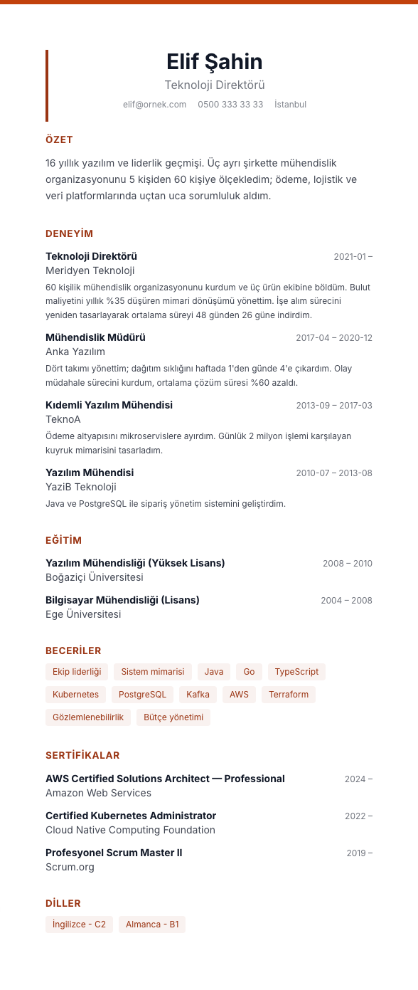 Bakır Yönetici CV şablonu - uzun kariyer geçmişi örneğiyle