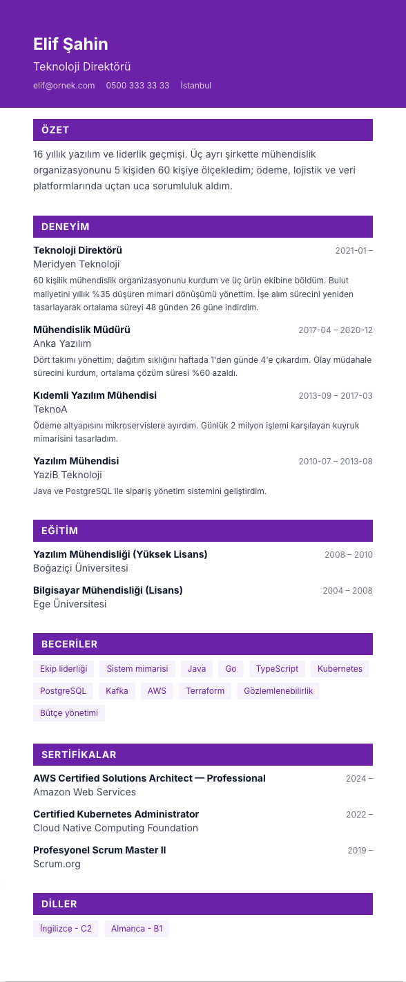 Banner Pro CV şablonu - uzun kariyer geçmişi örneğiyle