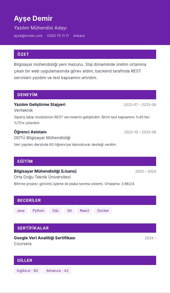 Banner Pro CV şablonu - yeni mezun CV'si örneğiyle
