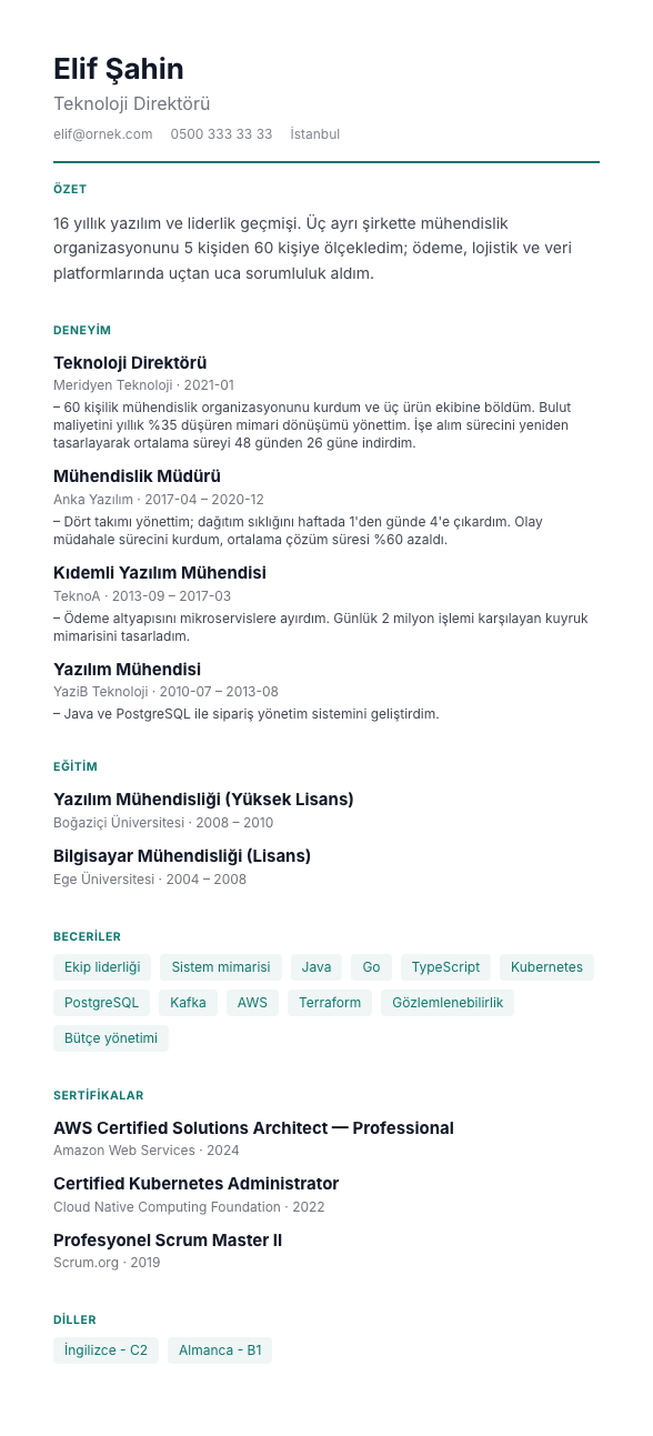 Başarı Odaklı CV şablonu - uzun kariyer geçmişi örneğiyle
