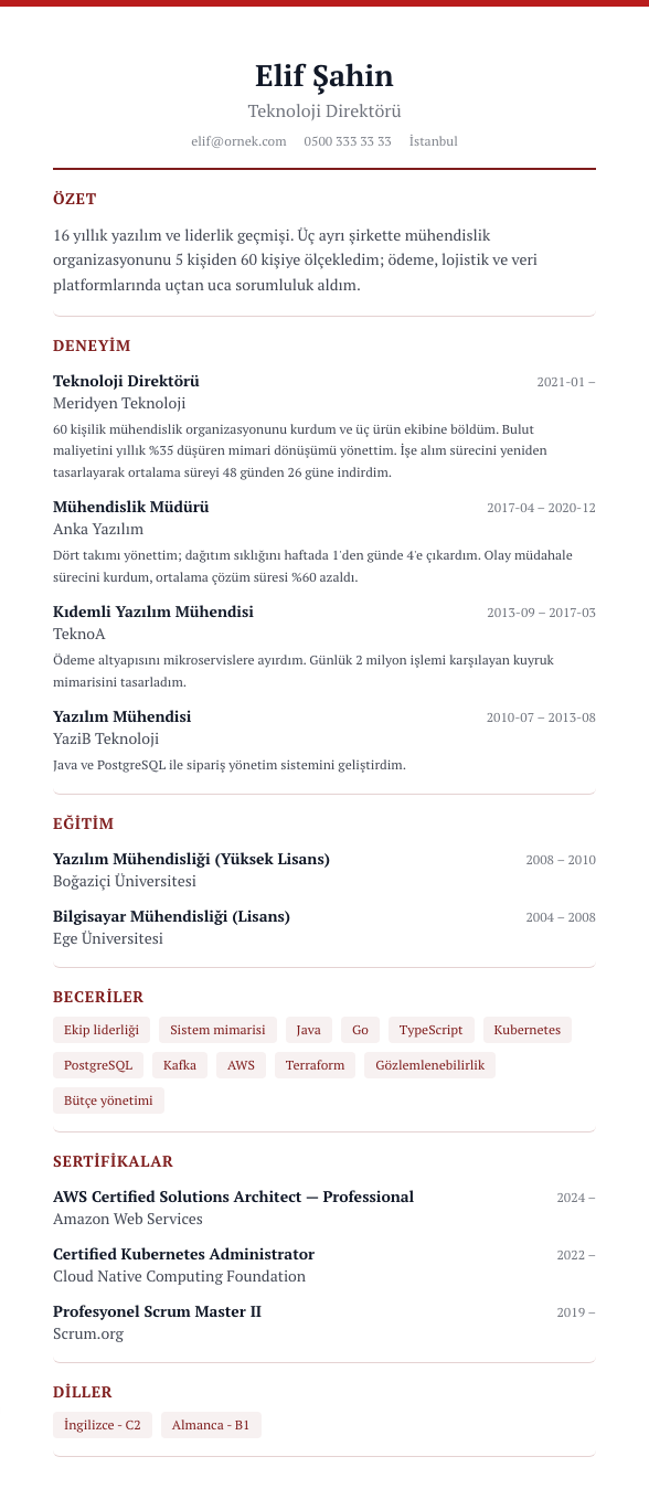 Bordo Vurgu CV şablonu - uzun kariyer geçmişi örneğiyle