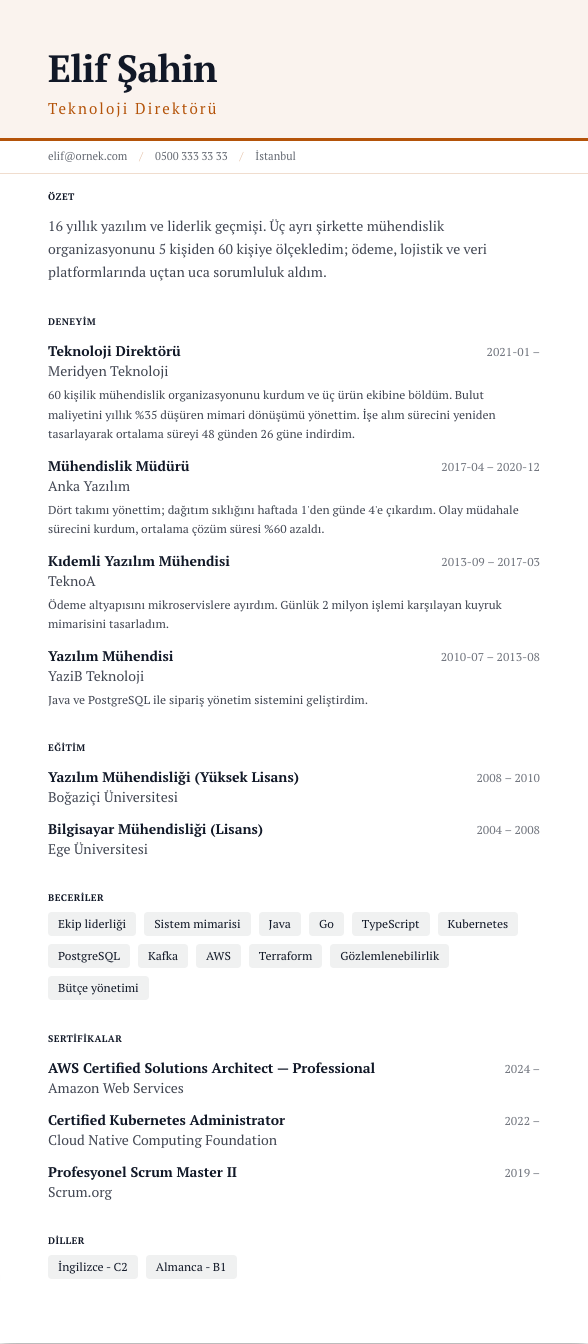 Büyük Başlık CV şablonu - uzun kariyer geçmişi örneğiyle