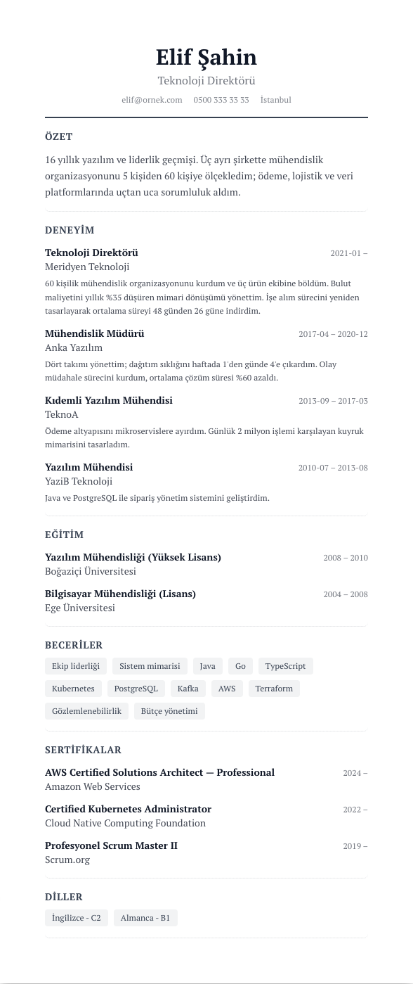 Editorial Serif CV şablonu - uzun kariyer geçmişi örneğiyle