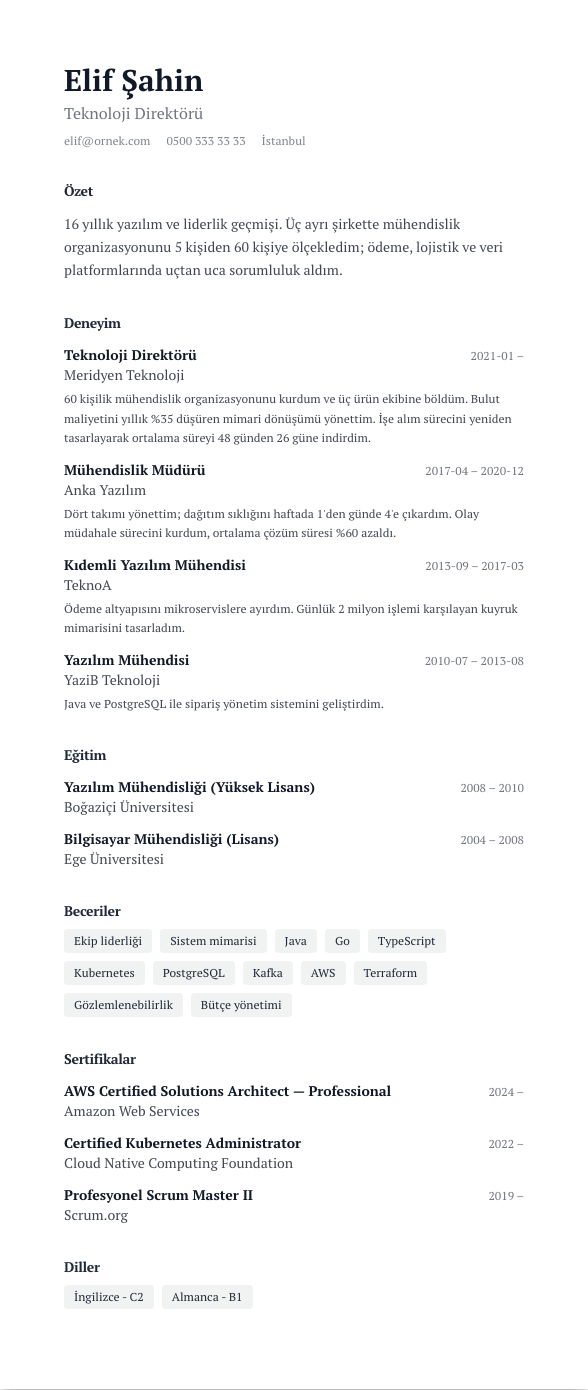 Editöryel Serif CV şablonu - uzun kariyer geçmişi örneğiyle