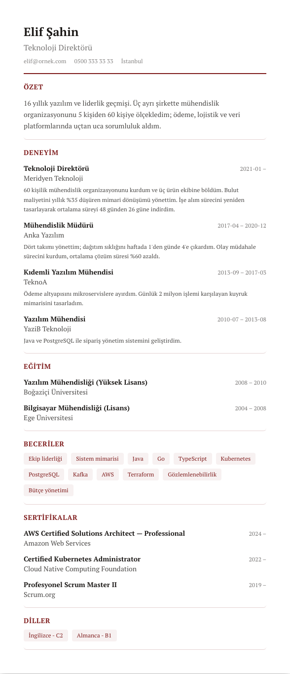 Zarif Serif CV şablonu - uzun kariyer geçmişi örneğiyle