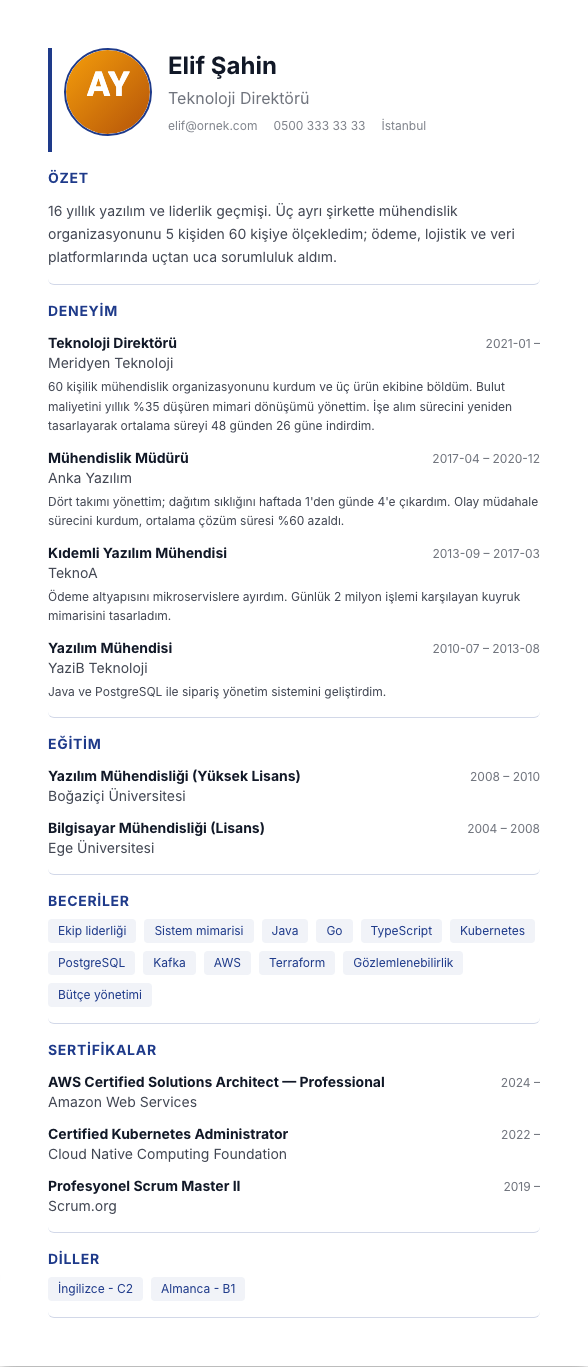 Europass Foto CV şablonu - uzun kariyer geçmişi örneğiyle
