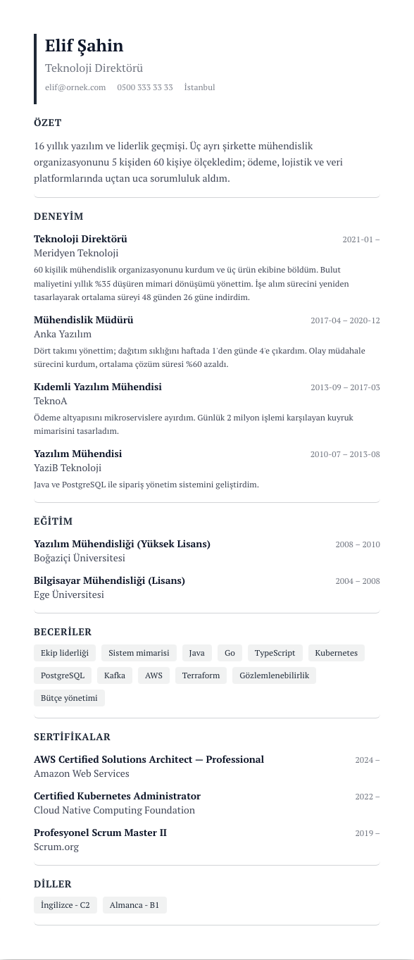 Executive CV şablonu - uzun kariyer geçmişi örneğiyle
