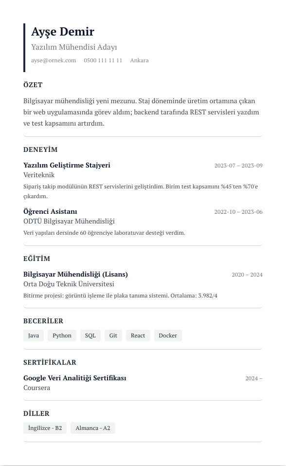 Executive CV şablonu - yeni mezun CV'si örneğiyle