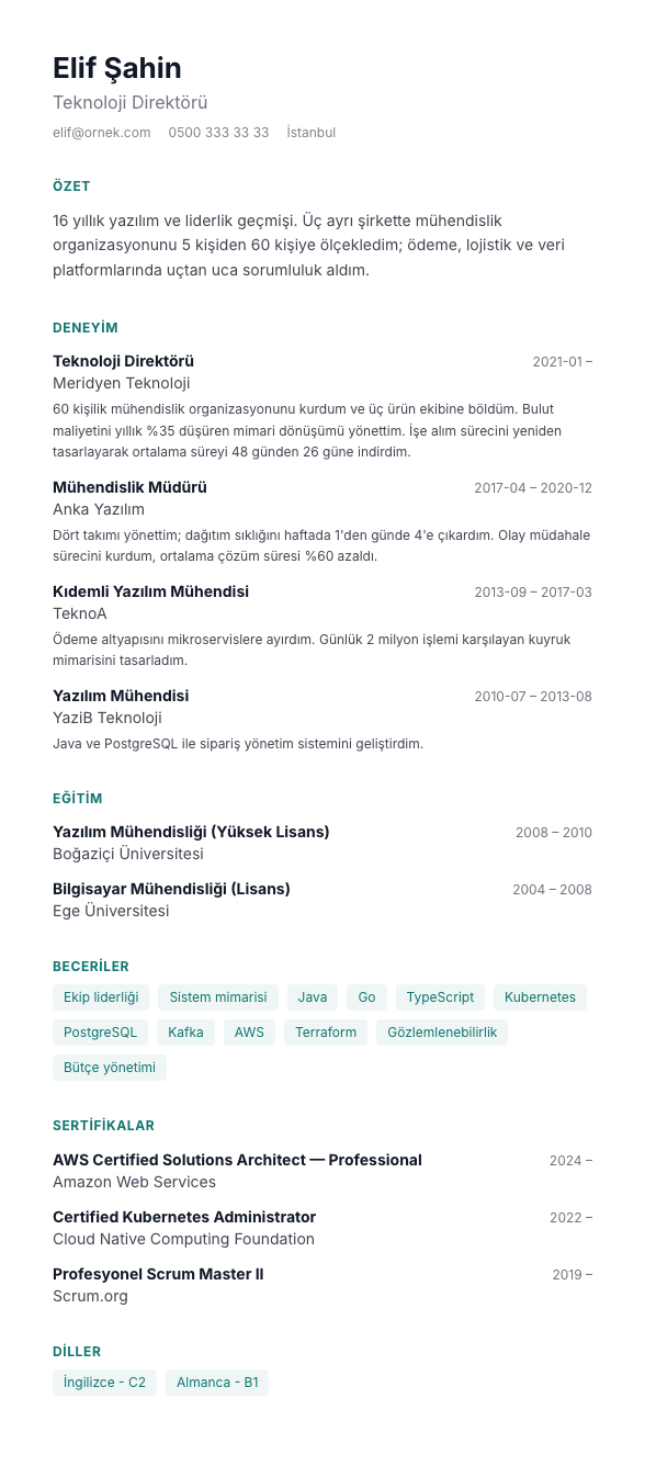 Filiz CV şablonu - uzun kariyer geçmişi örneğiyle