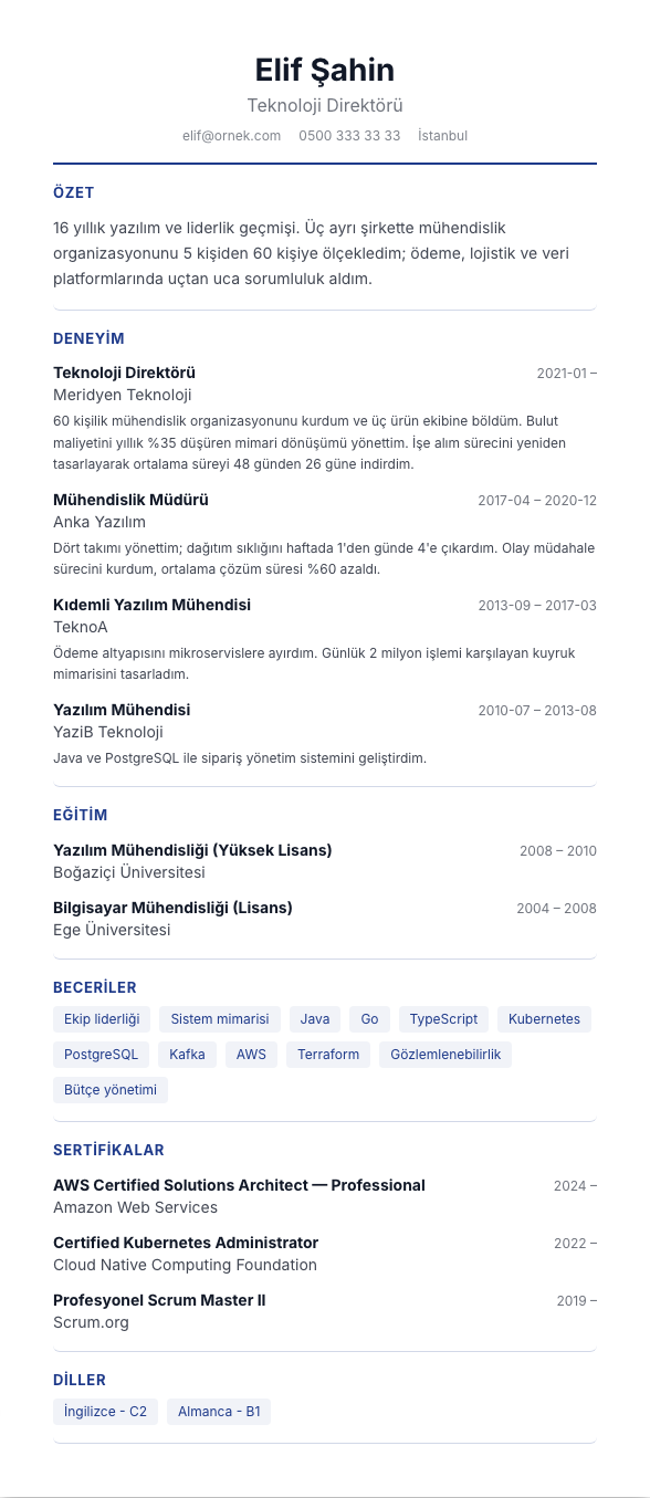 Finans Kurumsal CV şablonu - uzun kariyer geçmişi örneğiyle