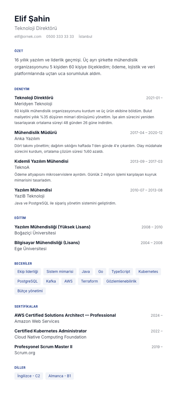 Fonksiyonel CV şablonu - uzun kariyer geçmişi örneğiyle