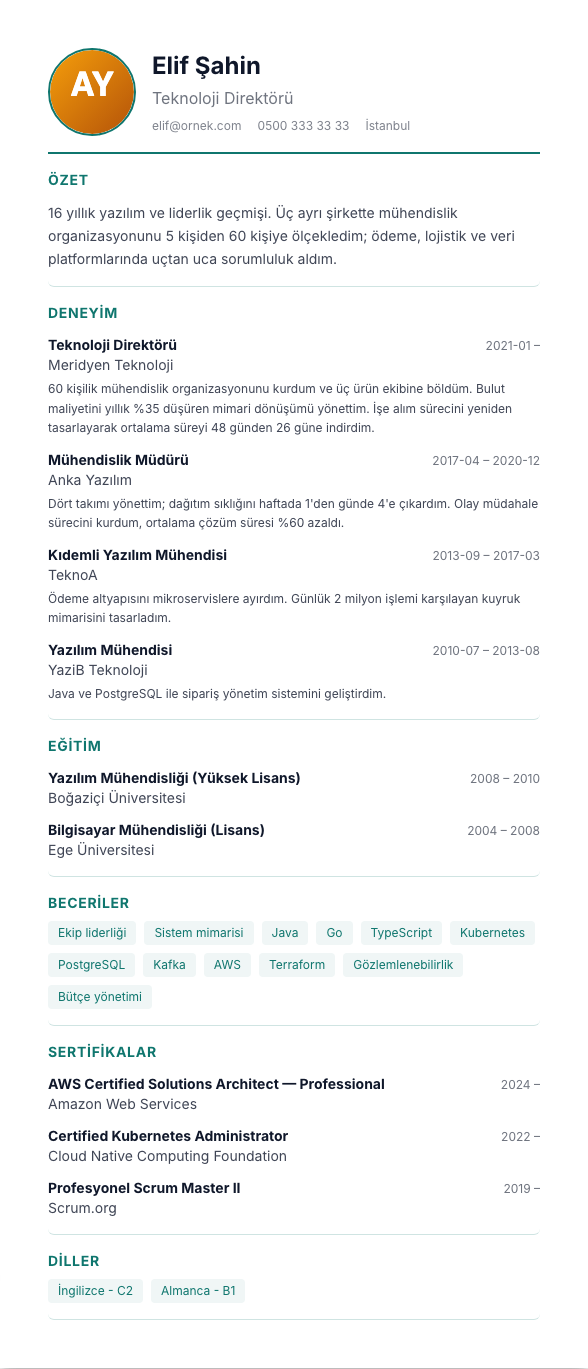 Foto Modern INTL CV şablonu - uzun kariyer geçmişi örneğiyle