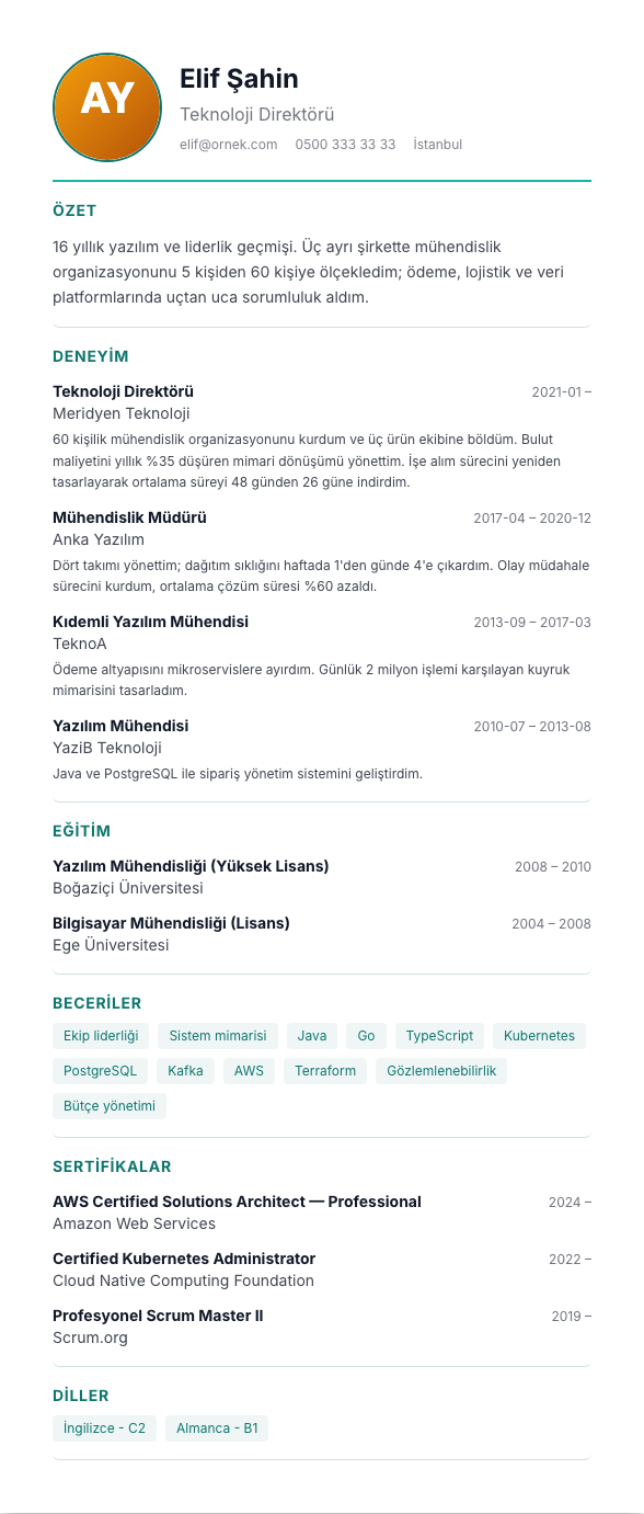 Foto Orta TR CV şablonu - uzun kariyer geçmişi örneğiyle