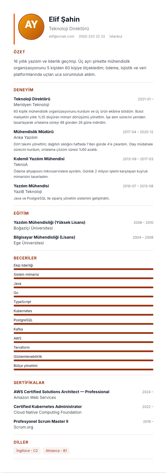 Gastronomi & Hizmet CV şablonu - uzun kariyer geçmişi örneğiyle