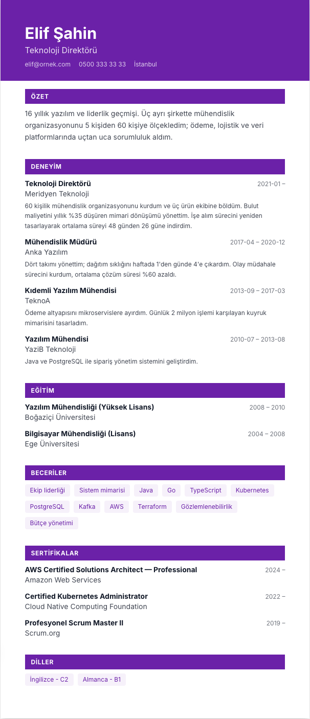 Gece Lansmanı CV şablonu - uzun kariyer geçmişi örneğiyle