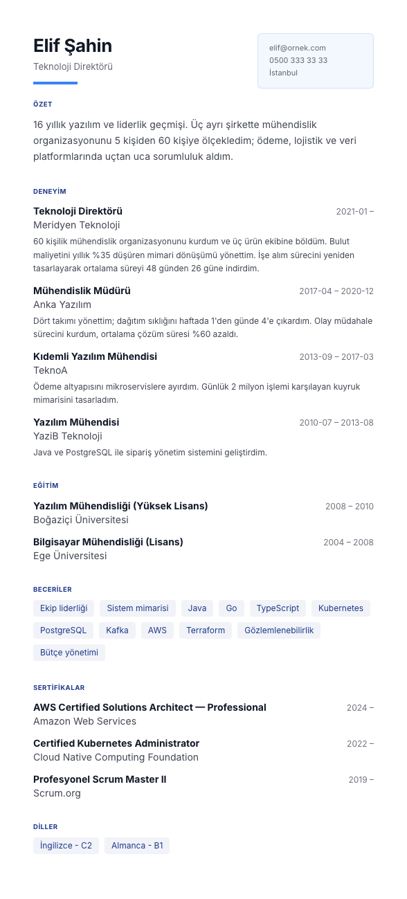 Güçlü Yönler CV şablonu - uzun kariyer geçmişi örneğiyle