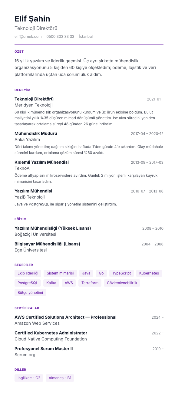 Hibrit Envanter CV şablonu - uzun kariyer geçmişi örneğiyle