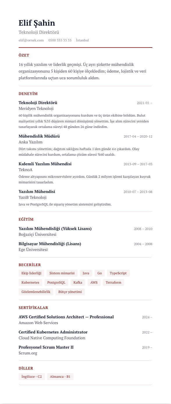 Hukuk Çizgisi CV şablonu - uzun kariyer geçmişi örneğiyle