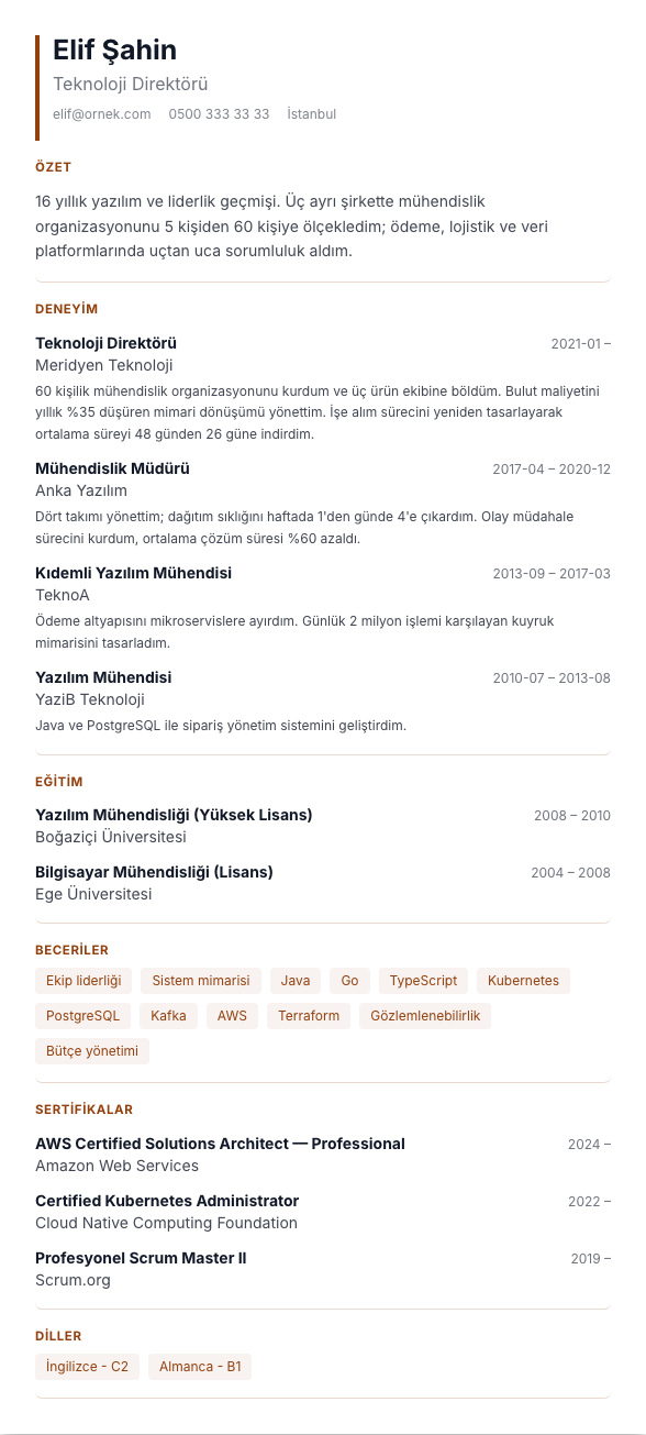 İlk Adım CV şablonu - uzun kariyer geçmişi örneğiyle