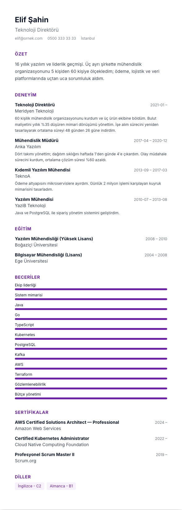 İnfografik Hafif CV şablonu - uzun kariyer geçmişi örneğiyle