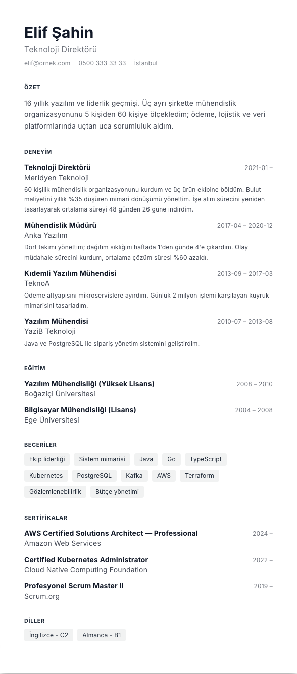İsviçre Izgara CV şablonu - uzun kariyer geçmişi örneğiyle